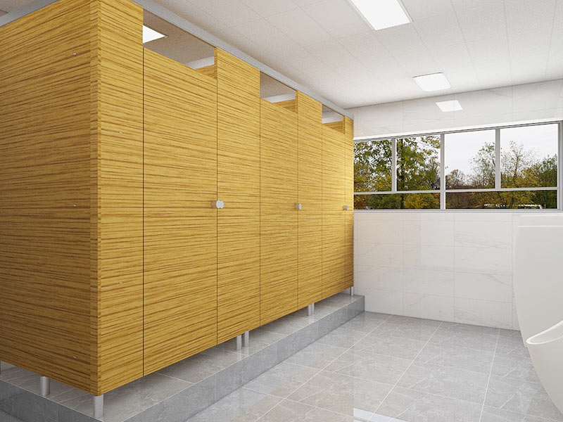 金絲橡木 金絲橡木